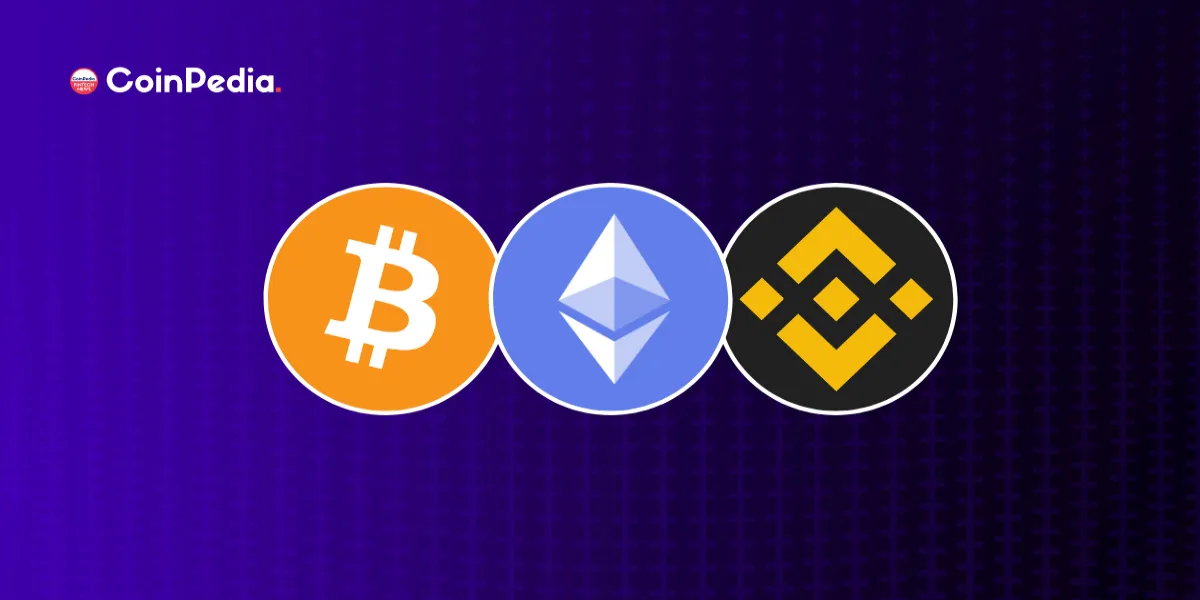  BTC, ETH, BNB, and DOGE Prices May Find their Bottoms in 2023! Is ‘Binance FUD’ the Final Capitulation Phase of 2022?