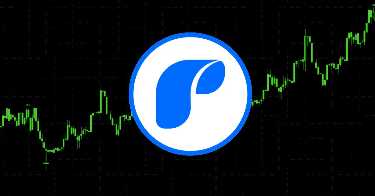 Pandora Token Surged 13x: Is It Worth Investing in This New Token? 
