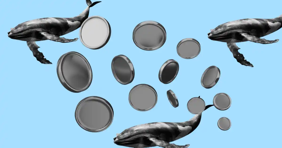 Crypto Market Analysis: Here’s How Whale Investors Are Impacting Your Portfolio!