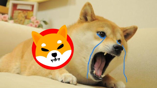 1 News Article Image Ce POL Memecoin, actuellement à 0,001 $, est sur le point de surpasser le Shiba Inu avec une prévision de 1 $ d'ici le premier trimestre 2025 !