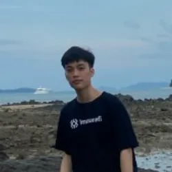 Duc Hoang Duc Hoang