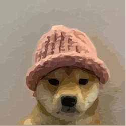 dogwifhat