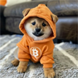 Dog (Bitcoin)