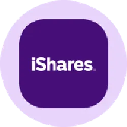iShares Core MSCI EAFE Tokenized ETF (Ondo)