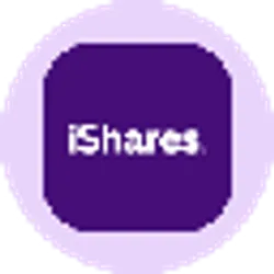 iShares MSCI EAFE Tokenized ETF (Ondo)