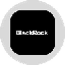 Blackrock, Inc. Tokenized Stock (Ondo)