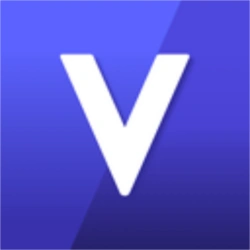 VGX Token