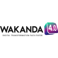 wakanda 4.0 ltd