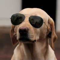 the cryptodog