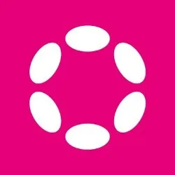 polkadot network