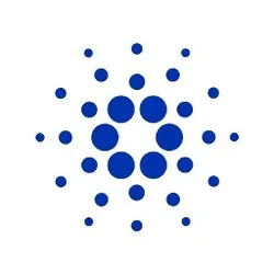 cardano foundation