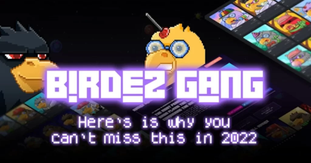 An NFT You Don’t Want To Miss In 2022: Birdez Gang