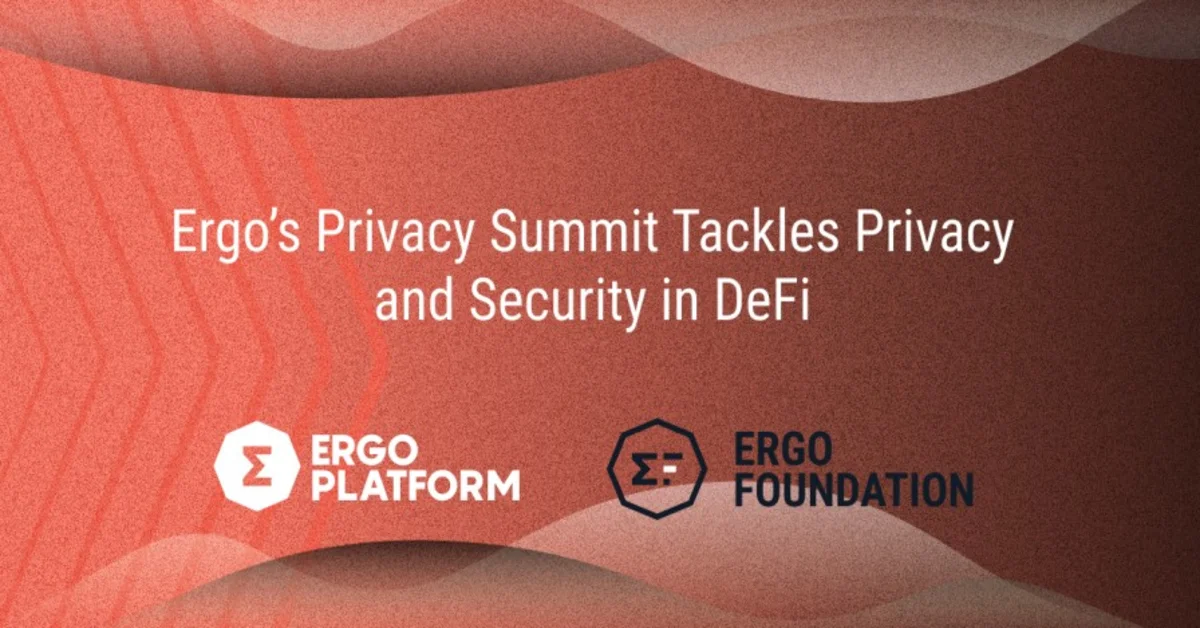 You are currently viewing Privacy And Security: Ergo Holds Summit On New Trends