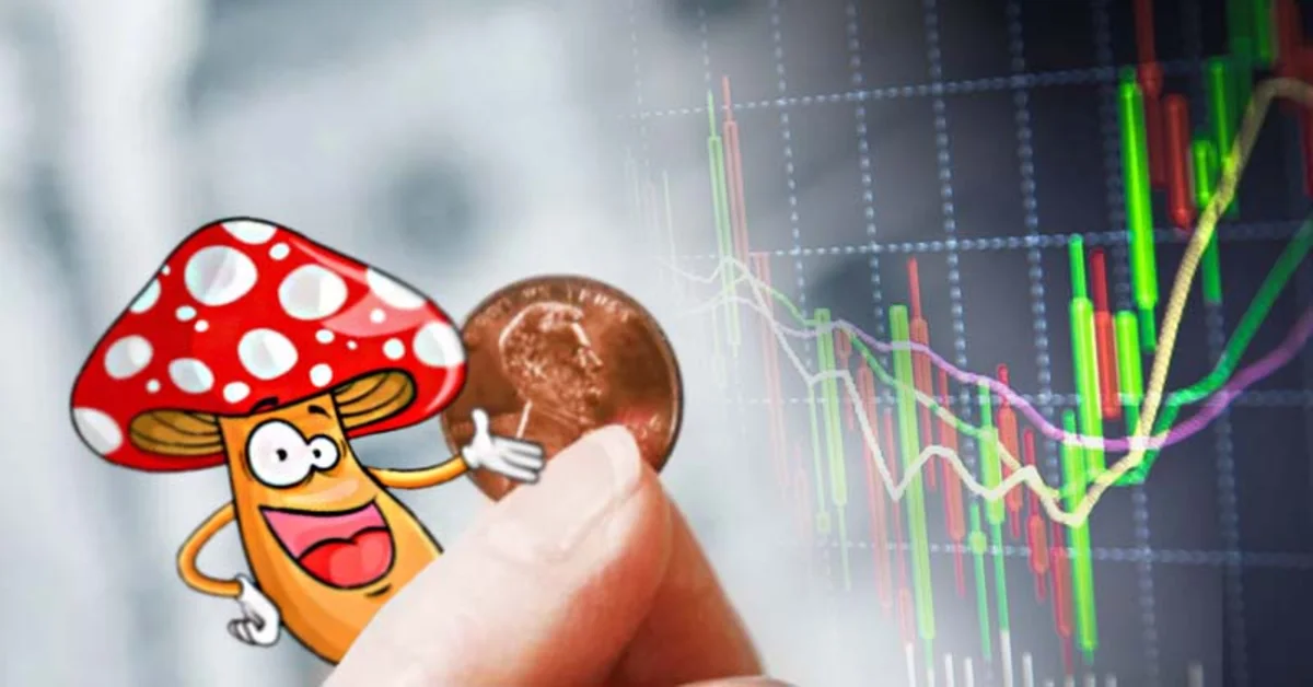 Know Insights Before You Buy Best Magic Mushroom Stocks To Buy in 2022