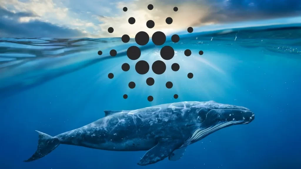 Cardano Finds a Strong Support at $0.92, ADA Price May Soon be Propelled by the Whales!￼