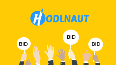 Hodlnaut's Bid for Survival, Selling Firm and FTX Claims to Potential Buyers