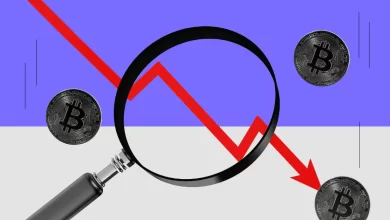 bitcoin dips