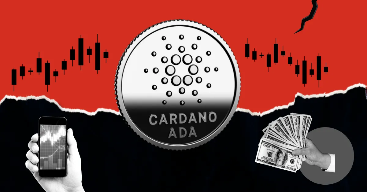 Cardano At Critical Crossroads
