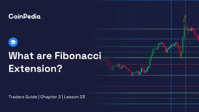What are Fibonacci Extension?