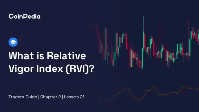 What is Relative Vigor Index (RVI)