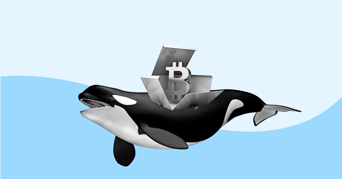 Whales Accumulate Bitcoin
