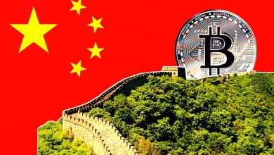 China Advances in the Global Digital Currency Race with Innovative Features and a Dedicated Industrial Park