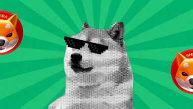 Memecoin Mania What’s Next For DOGE and SHIB Price