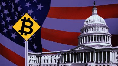 Ripple CEO Brad Garlinghouse: U.S. Crypto Regulation May Take Decade, Warning Crypto Companies