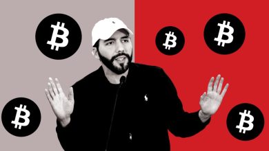 El Salvador Faces Challenges with Bitcoin Investment Strategy