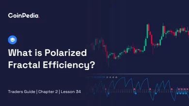 What is Polarized Fractal Efficiency
