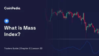 What is Mass Index
