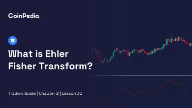 What is Ehler Fisher Transform