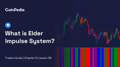 What is Elder Impulse System