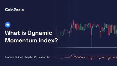 What is Dynamic Momentum Index