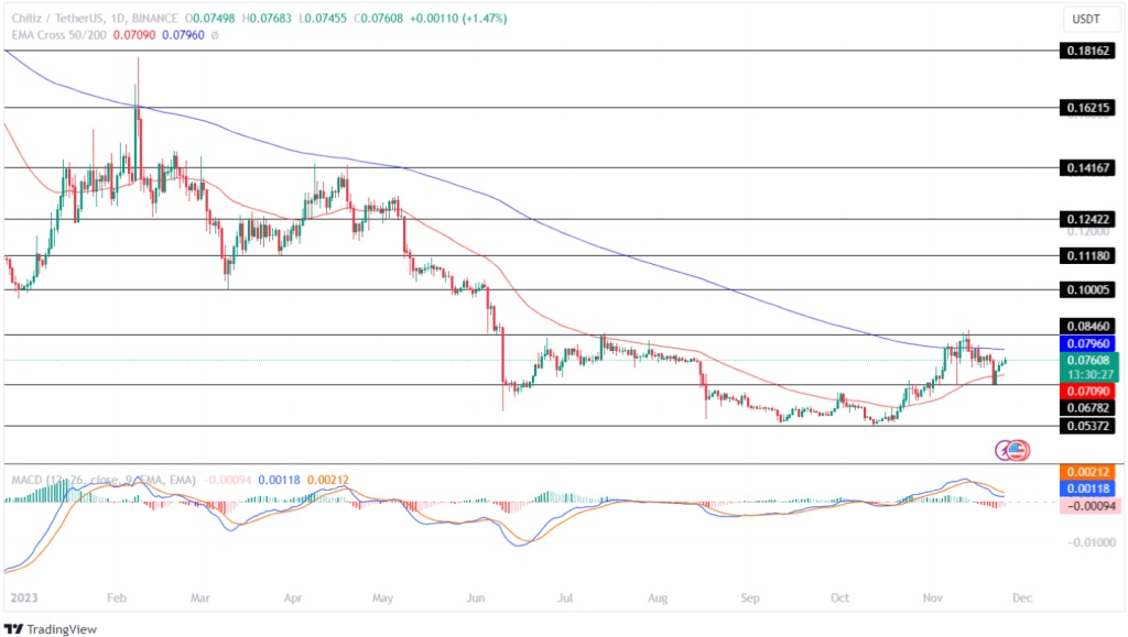 CHZ Price Prediction 2024