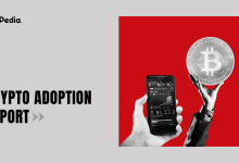 Global Crypto Adoption Report 2025