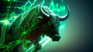 crypto-bull-run