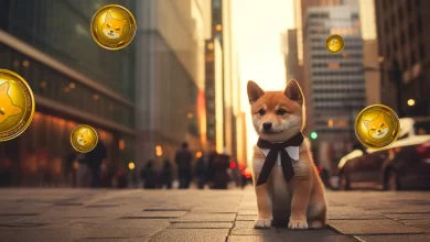 shiba-inu