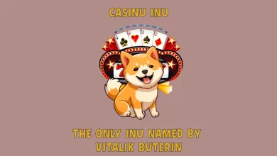 casinu-inu