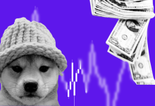 WIF Price Explodes! Dogwifhat Token Transforms $310 into $3.12 Million in 3 Months