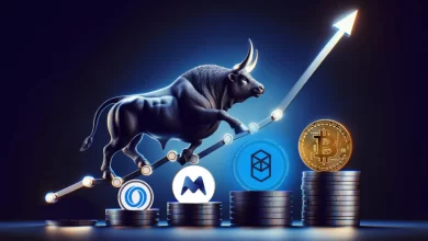 crypto-bul-run