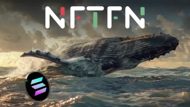 nftfn