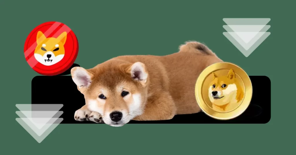 DOGE & SHIB Meme Coins Prep For The Next 100% Surge