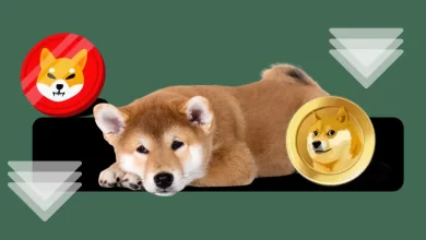 Memecoin Bloodbath Continues! Dogecoin To Retest It’s Low Of $0.15?