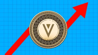 Why Verge (XVG) Price Is Up Today?