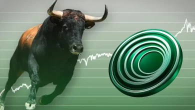 Wormhole’s W Token