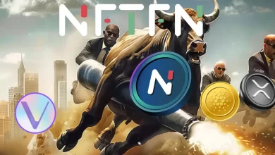 nftfn-vet-xrp