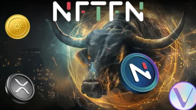 nftfn-bull