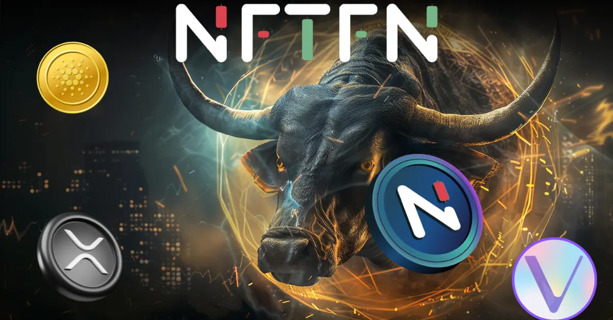 nftfn-bull
