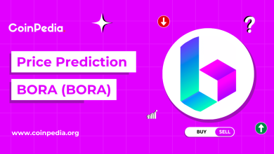 Bora Price Prediction